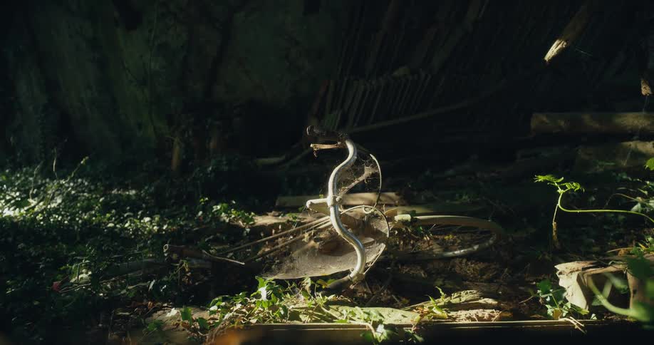 A sculpture of a snake rises from the ground in the woods