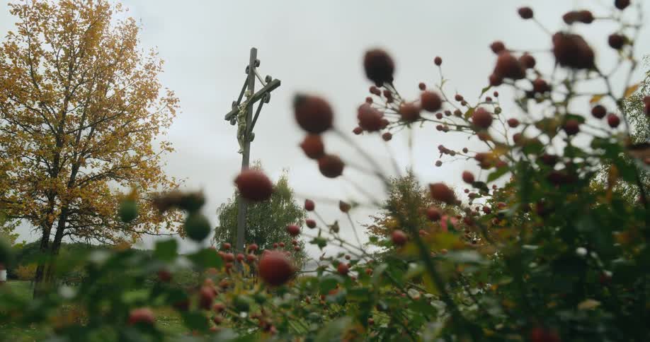 A cross on a pole in a garden with trees and berry bushes
