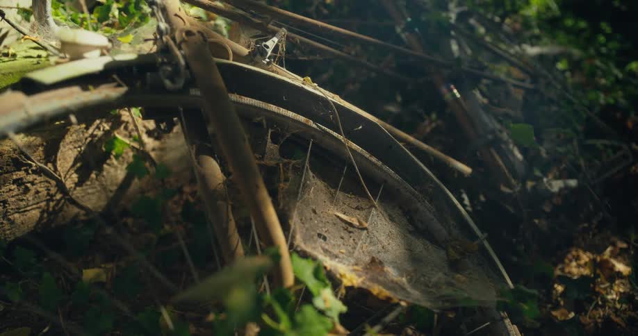 A ruined bicycle lying in a woodland during the day