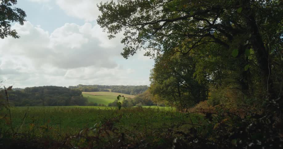 A countryside covered in rolling hills and patches of forest during the day