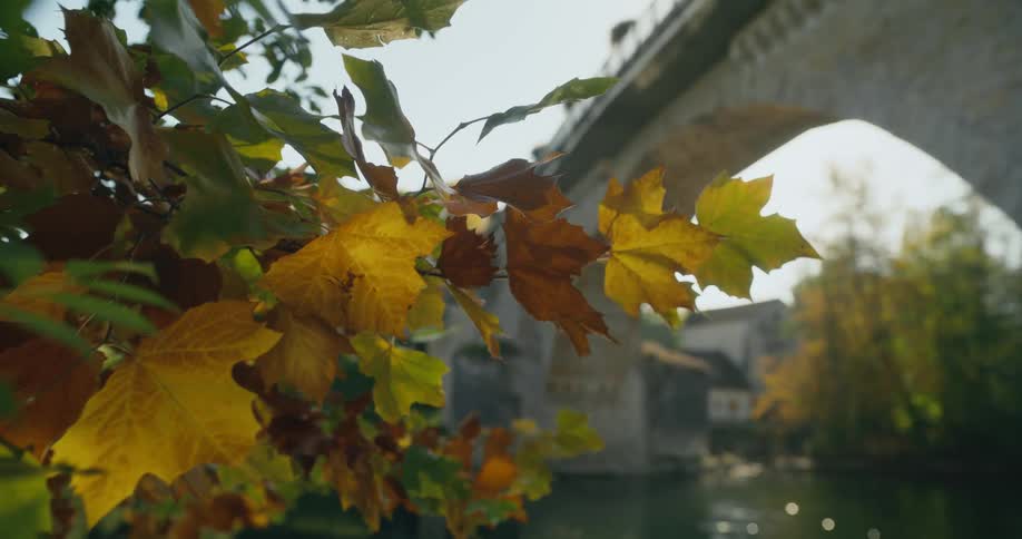 Stone bridge crosses river as sun glints off water and dapples fall foliage of nearby tree