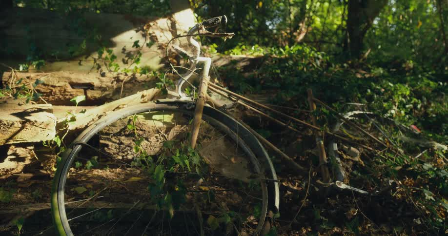 Abandoned rusted bicycle reclined over the rocks and covered in vines on the forest