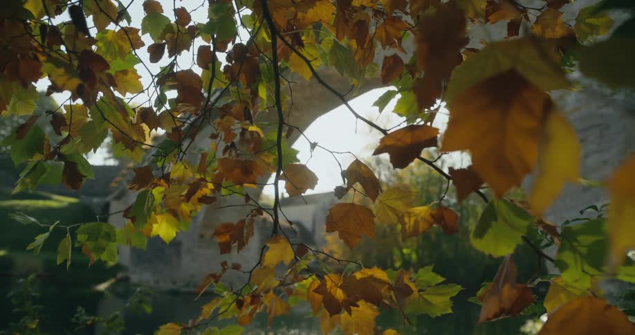 Stone bridge over river and a distant building can be seen through dappled fall leaves on tree