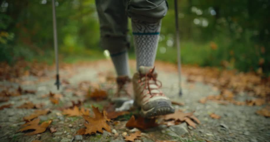 Someone is walking with trekking poles on a leaf covered path in the woods