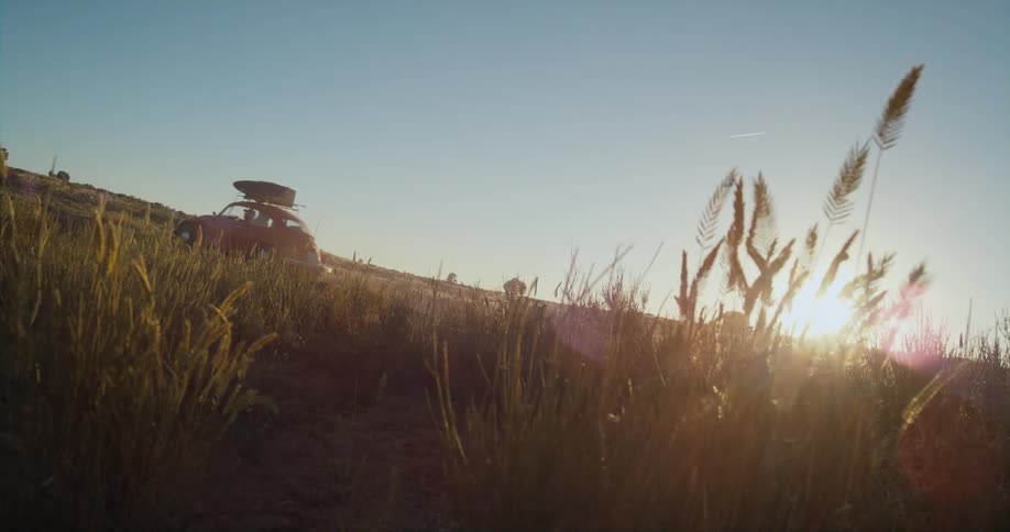 The wind blows on plants in a field as the sun shines brightly in the distance and an automobile passes by