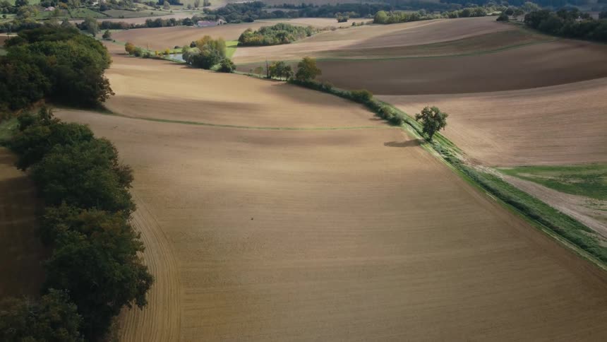 Aerial view of the plantation fields on the hills under a blue sky