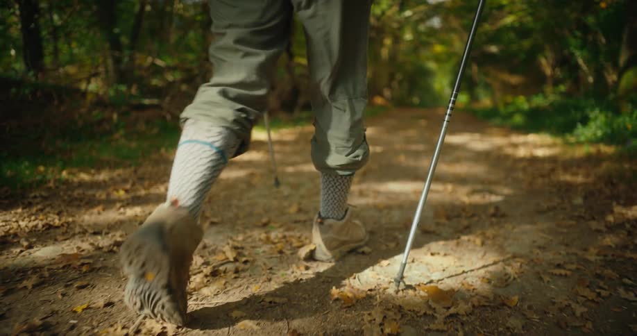 A person with walking sticks walks on a path in a forest