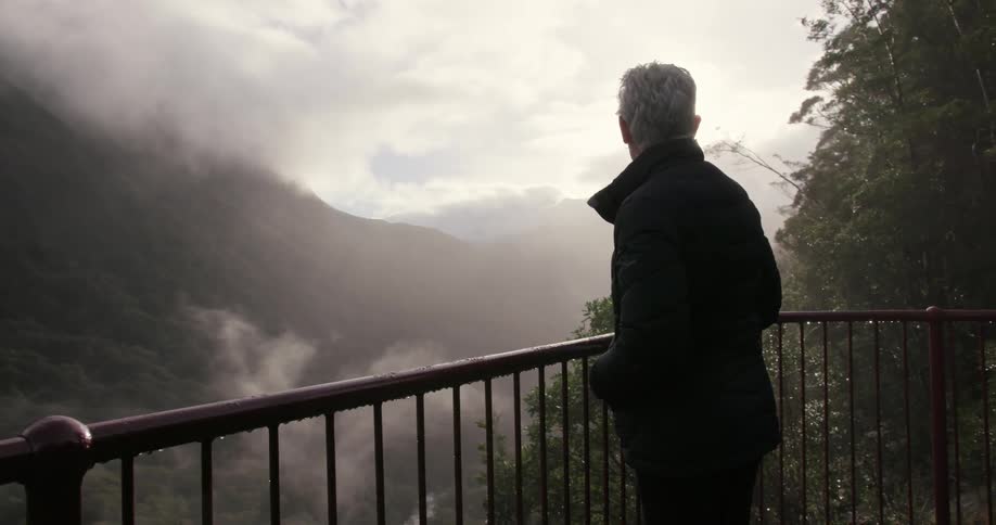 A woman stands behind a metal railing looking over a valley