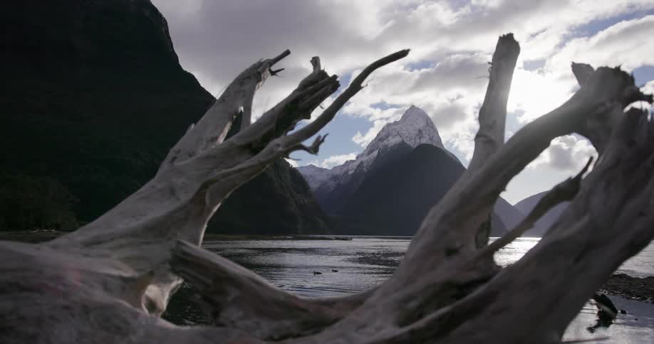 Water flows gently in a lake by snowy mountains