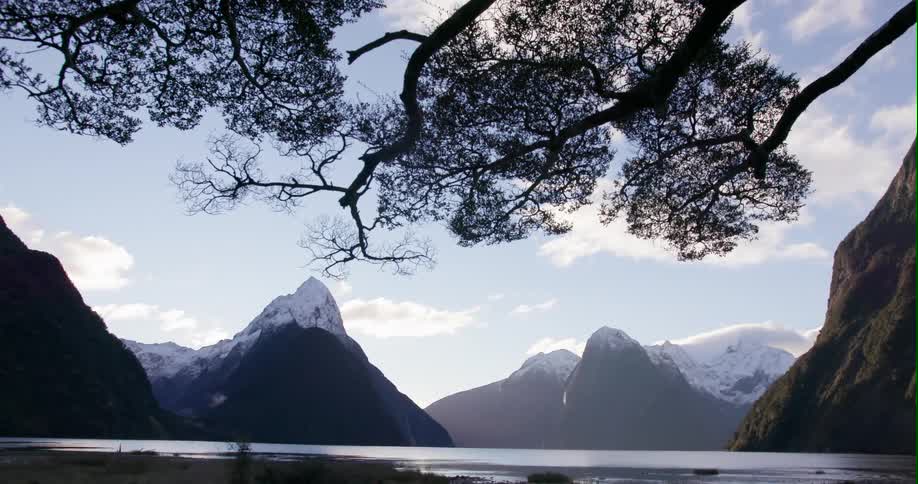 A tree hangs above a lake near mountains
