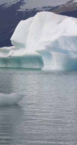 Chunks of ice floating on water in the wilderness