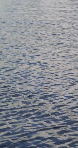 The sun is reflecting off the water