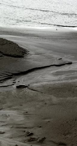 Sideways monochrome footage of a coast near sand hills