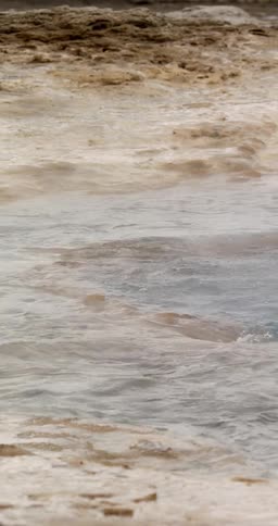 Hot spring water circulating on land with steam