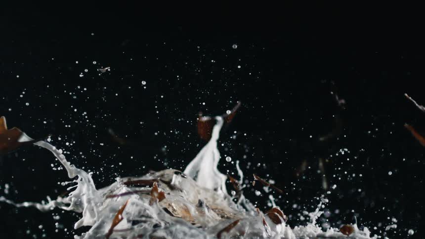 A beer bottle shatters after falling on a table