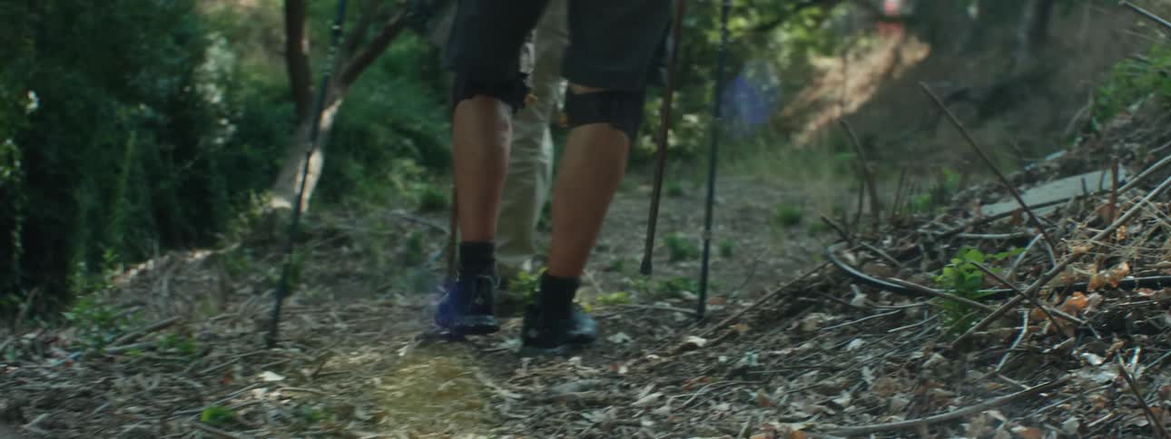 Two people hiking on a trail