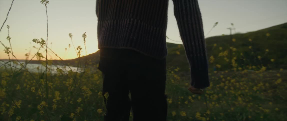A man walks through a field of wild flowers towards the ocean