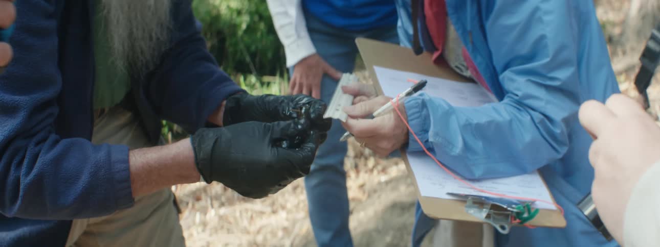 A view of people measuring a crab