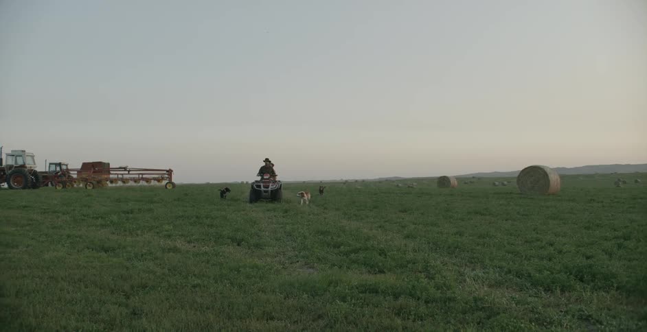 A man rides a tractor across a grassy field with his son as their dogs run along side them