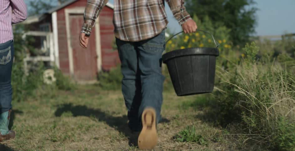 Children and their dog walk to the chicken coop in their backyard