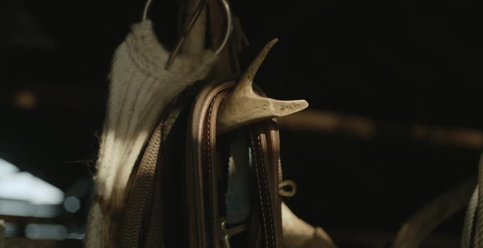 A view of rope on a hook in a barn
