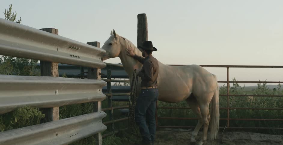 Man with hat brown shirt and jeans walks up to white horse on the farm