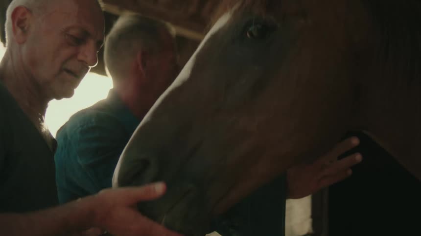 A pair of men feed and pet a horse while standing outside during the day