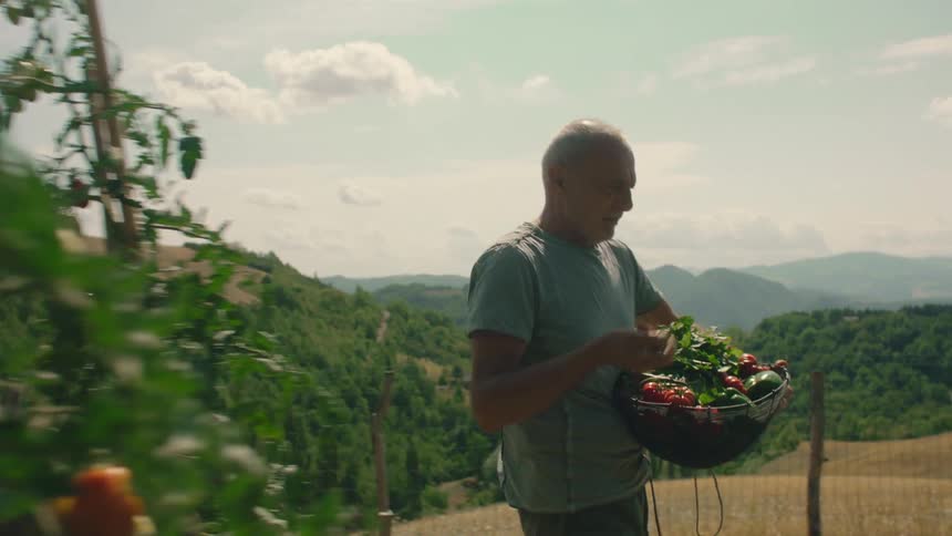 A man walking through an orchard carrying a basket of fruit picks a piece off a tree and throws it in to a field