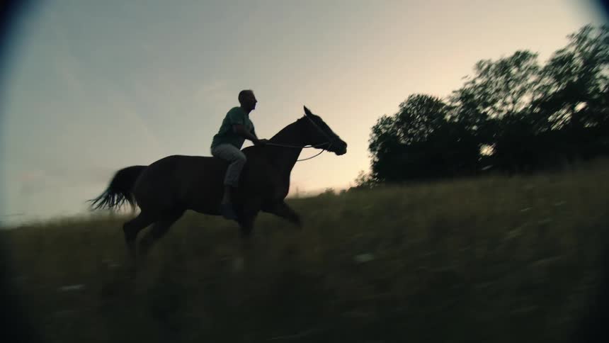 Man rides dark horse on grassy hill slope at dusk