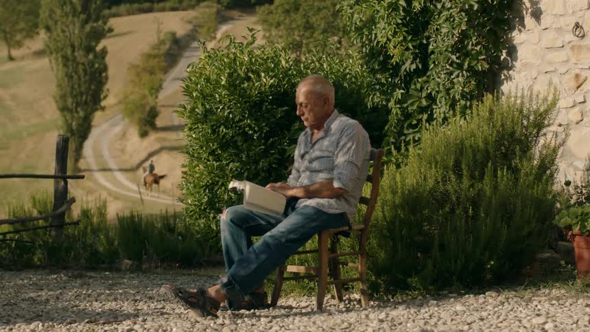 A dog walks past a man sitting outside reading as a person rides a horse in the background