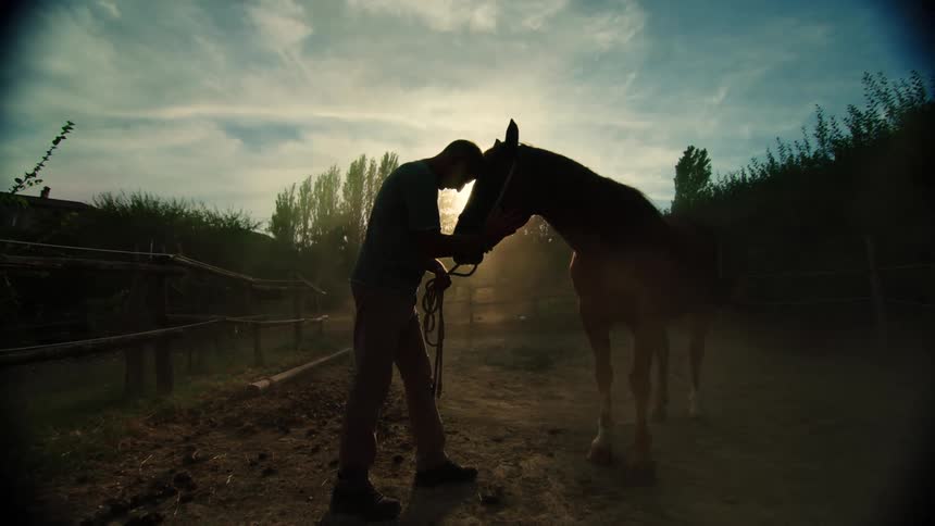 A man stands in a stable and pets a horse