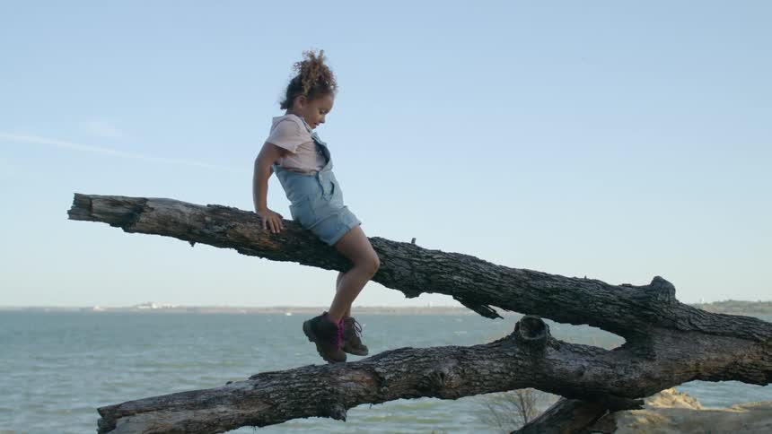 A young girl sits on an angled piece of driftwood next to the sea