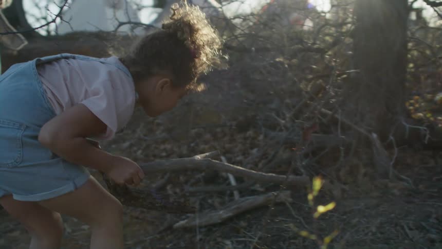 A little girl is helping her father gather firewood near their campsite