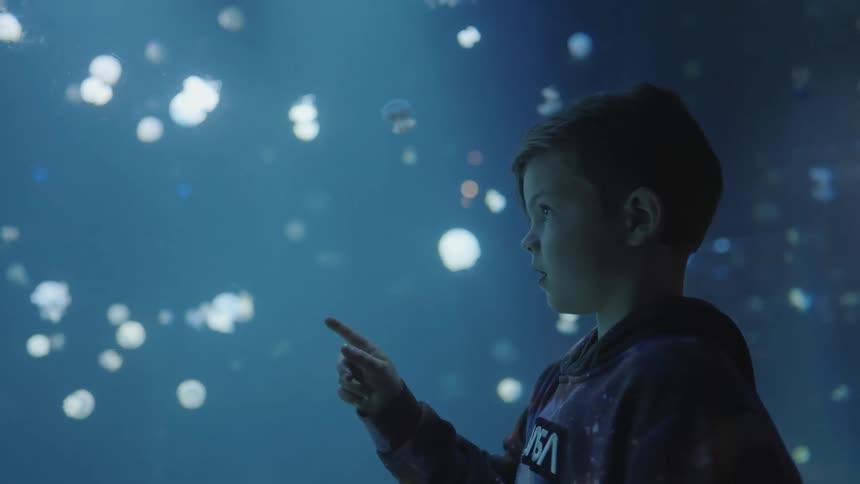 Boy wearing nasa hoodie points at jellyfish in large aquarium