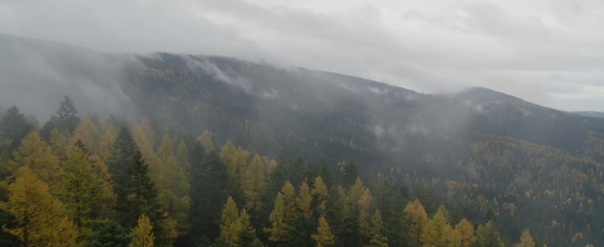Clouds and fog hang above a forest on a mountain slope