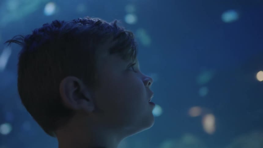 Boy stands watching sea life in aquarium swim around