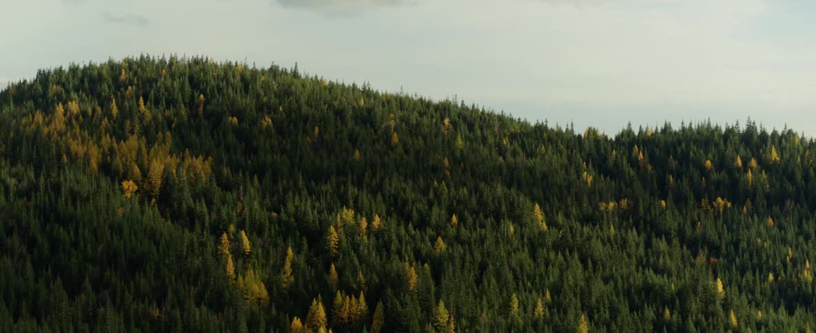 A mountain ridge covered in dense forest on a cloudy day