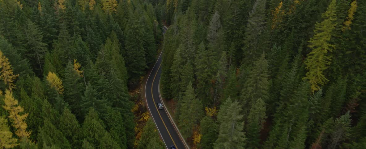 A car is driving through a forest at the start of fall