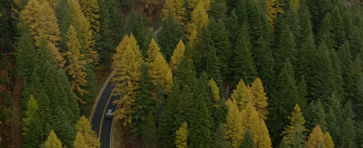 Vehicle drives along highway winding through conifer forest