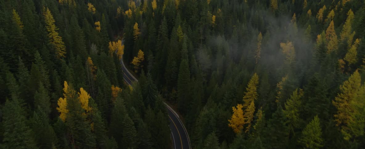 A car drives on the road through the forest