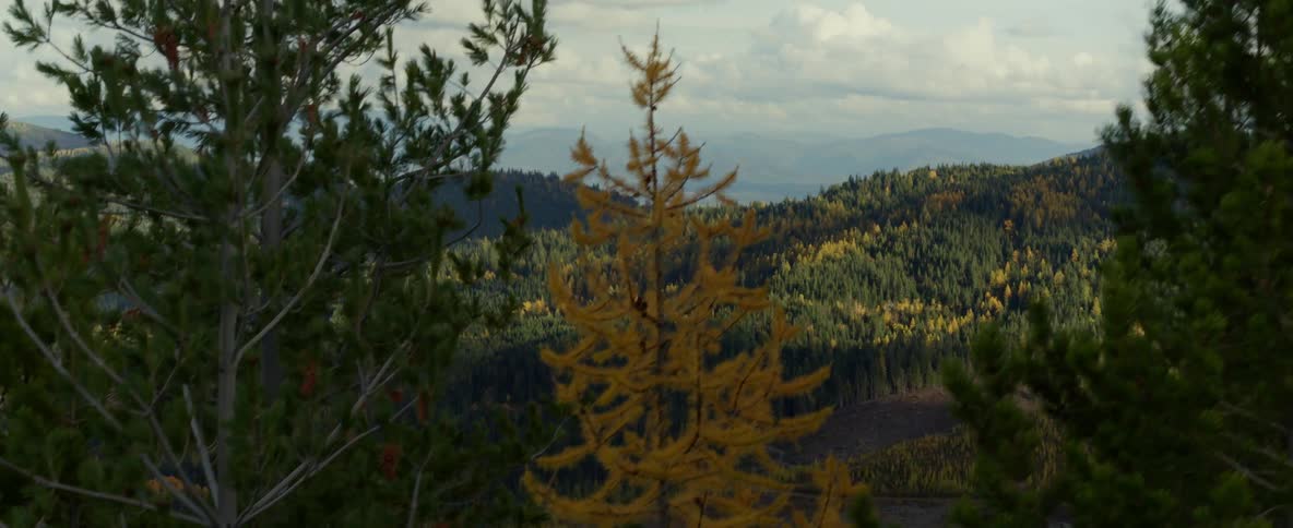 Aerial over a mountaintop in the fall