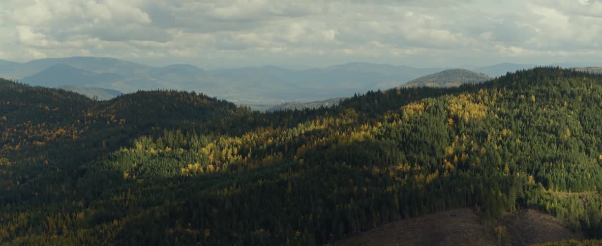 Sunlight breaks through mountains covered in forest pines