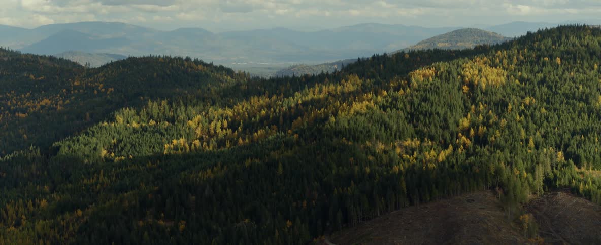 Aerial over a mountainous forest changing seasons