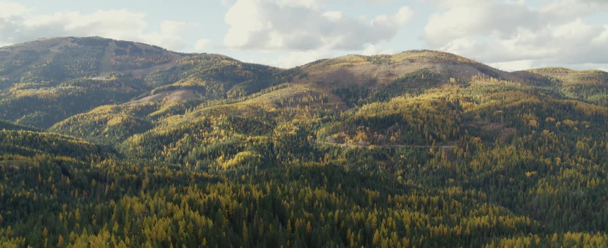 Rolling hills full of a forest in changing seasons