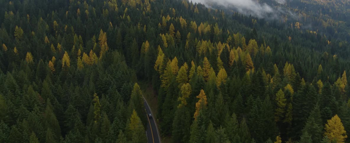 Aerial view of an automobile traveling on a winding road through a forest of trees changing into fall colors