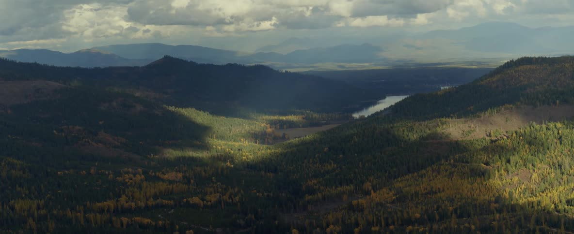 Sun spot in a forest valley of pines