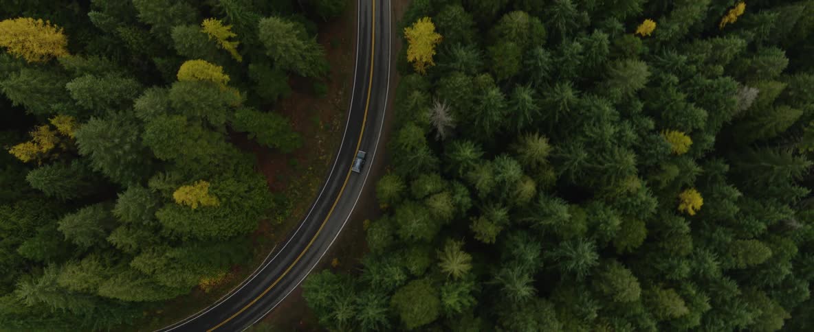 Aerial of a car traveling on a road through a forest of trees changing into fall colors