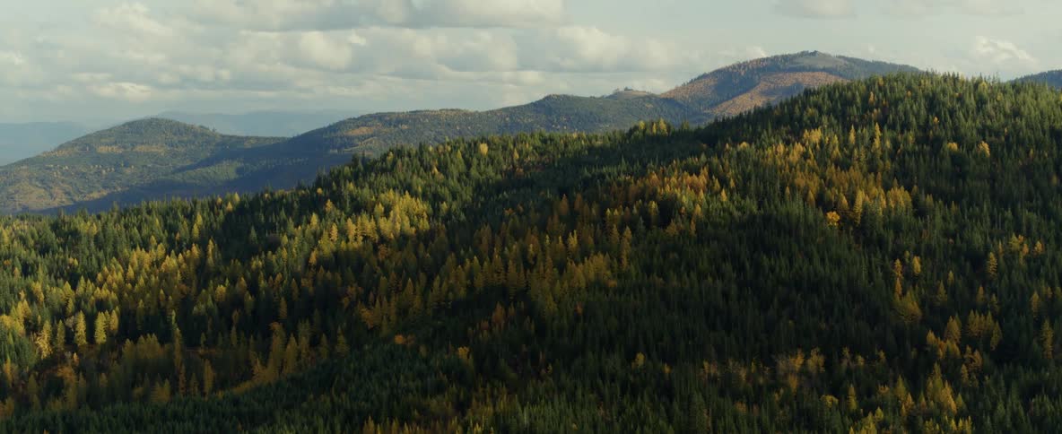 Aerial over forested mountains in the fall