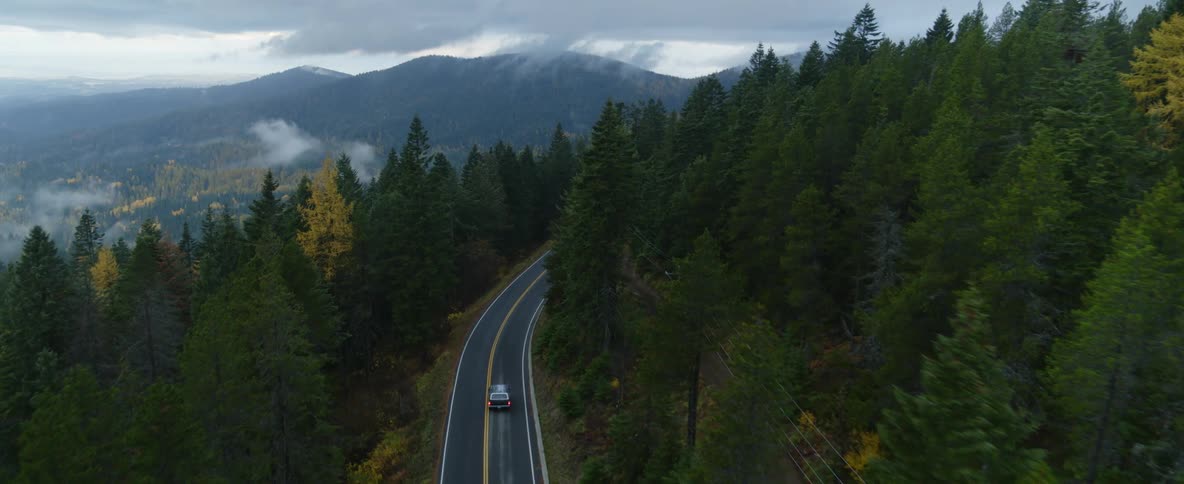 Driving through a forest in the mountains