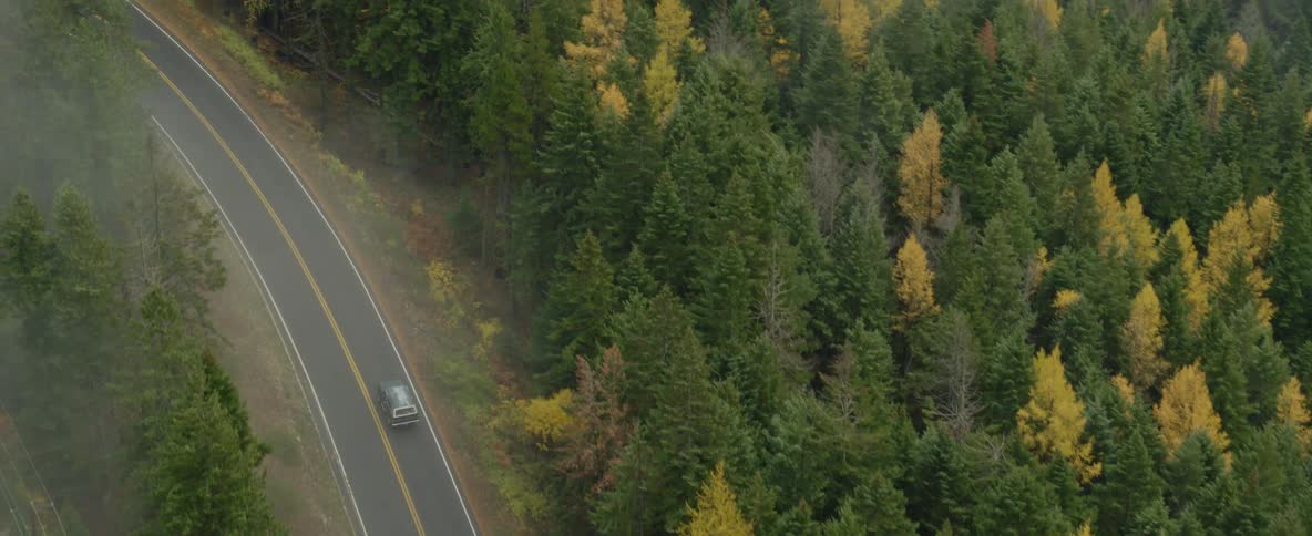 Aerial of car traveling on a road through a forest of trees changing into fall colors